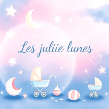 Lot de 4 pinces de Noël