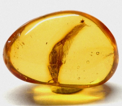 Collier Ambre bébé naturel